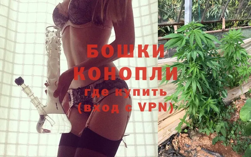 Конопля SATIVA & INDICA  OMG tor  Владимир 